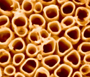 Nano Hydrogen
