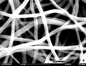 Platinum Nanowires