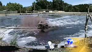 Wine Waste Water