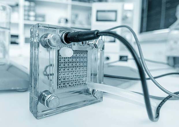 Fuel Cell from Johns Hopkins