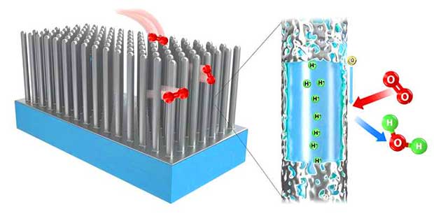 fuel cell